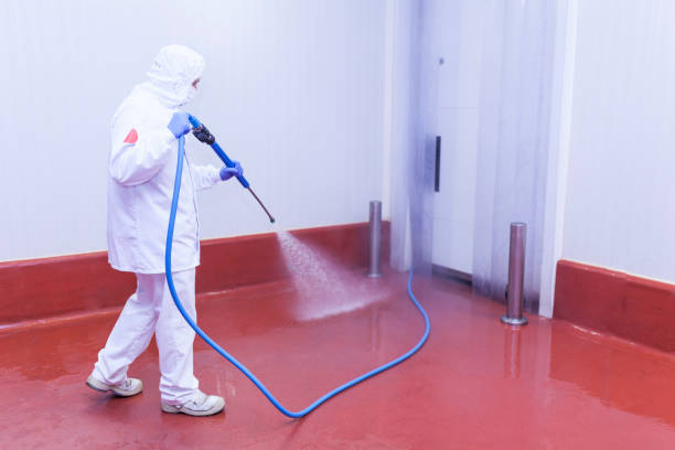 Best Graffiti Removal  in Preston, ID